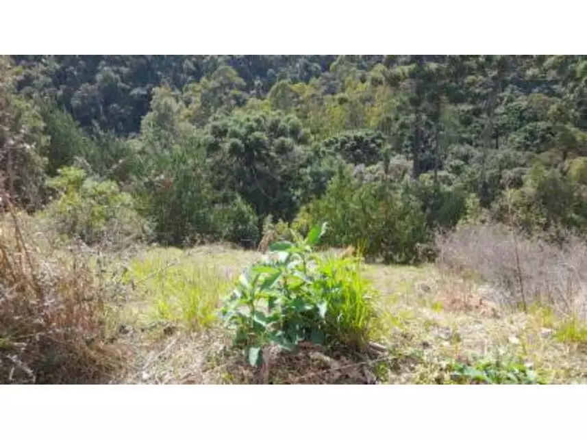 Terreno, Alto da Boa Vista em Campos do Jordão, SP