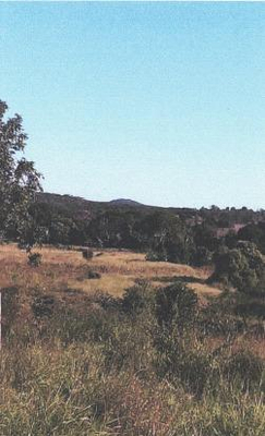 Imóvel Rural  com Área Total de 25 Hectares, em  Manga-Mg, Avaliado em R$420.000,00