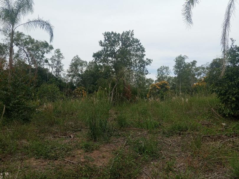 IMÓVEL RURAL  COM ÁREA TOTAL DE 8.492,840m² - MONTENEGRO/RS
