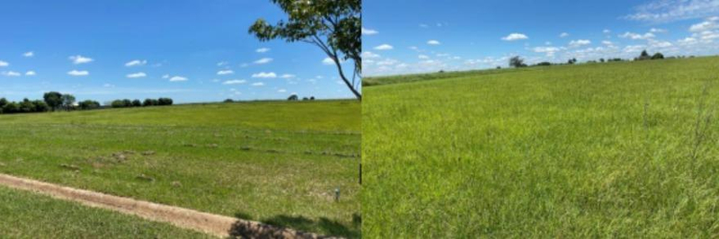 Imóvel urbano terreno com área total de 2.700,12 m² - birigui - sp