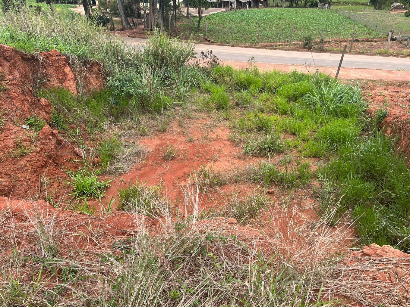Imóvel Urbano com Área Total de 295,12 M2 em Canaã-MG