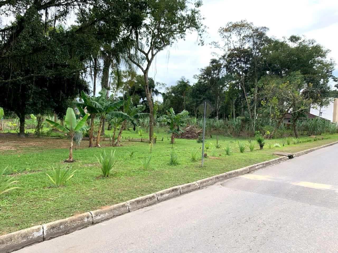 Terreno SFS