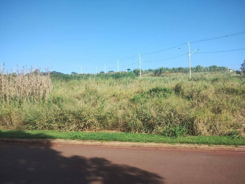 Terreno 352m² | DESOCUPADO | Cafelândia-PR | Centro - Amplo Lote de 352m², Jardim Ravena, Pronto para Construir - Somente à Vista!