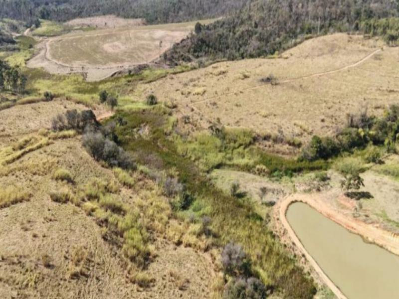 Area, 36.27 ha, São José do Rio Pardo / SP
