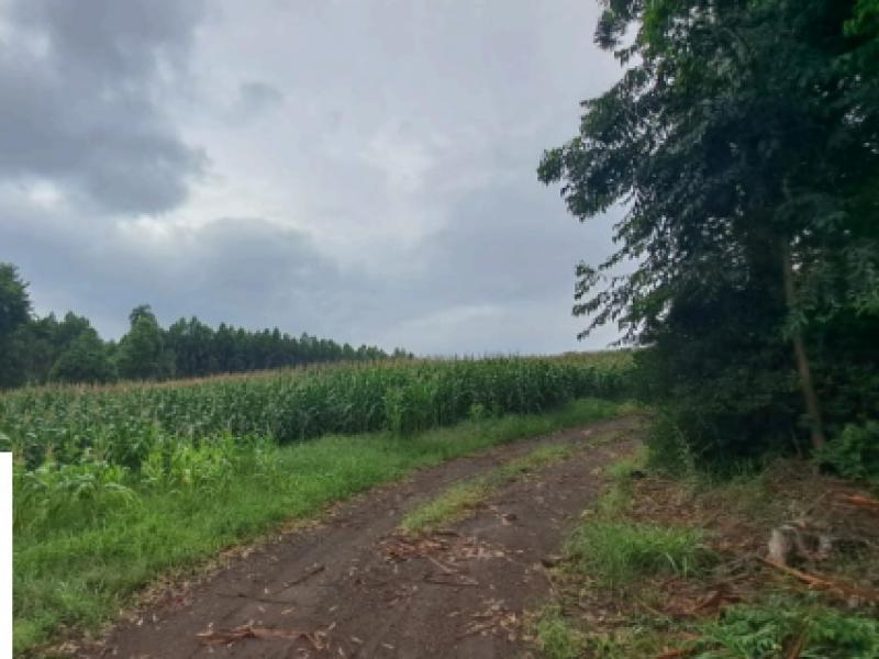 Lote, 42852.48 m2, Chapecó / SC