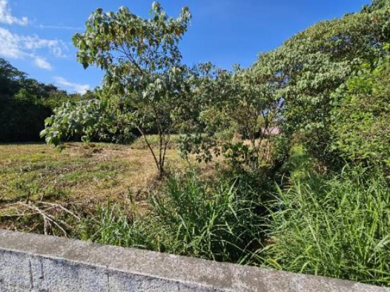 Lote, 8541.0 m2, Lavras / MG