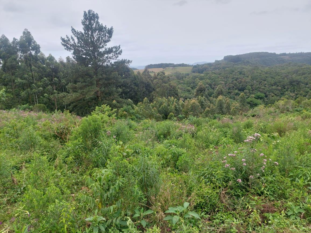 Imóvel Rural - Fração de Terras, com Área Superficial de 54.756,8906 M2 em Candelaria-RS