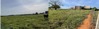 Imóvel rural com área total de 16.94,00 hectares - Zacarias-SP