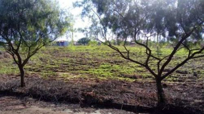 Terreno com A.T de 335,90m² em Terra Roxa/PR