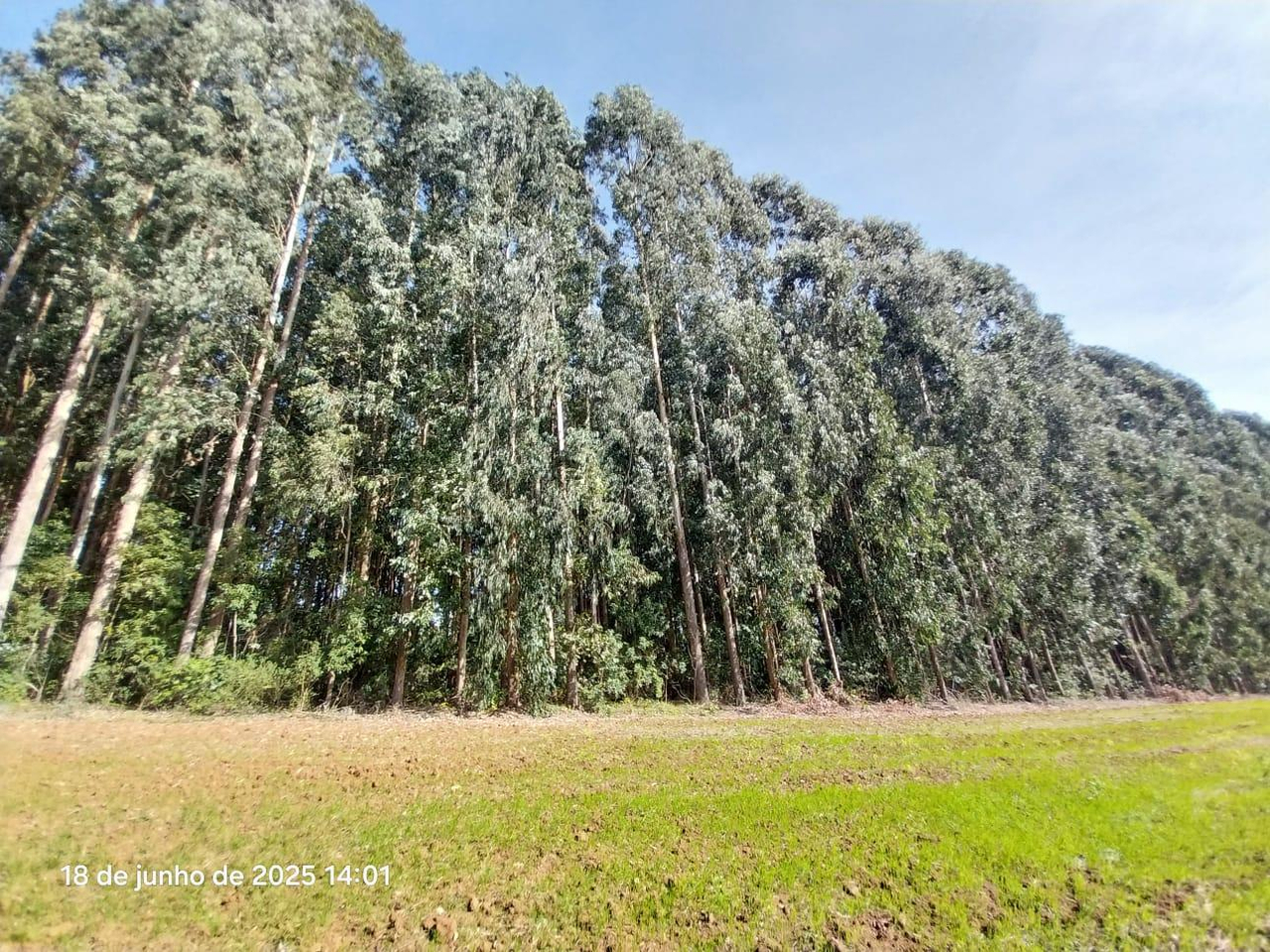 Fração ideal com área de 1,61 hectares do terreno rural, São Mateus do Sul/PR