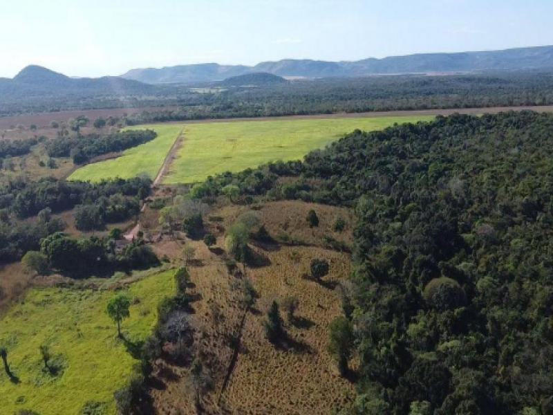 Fazenda, 18.52 ha, Fátima / TO