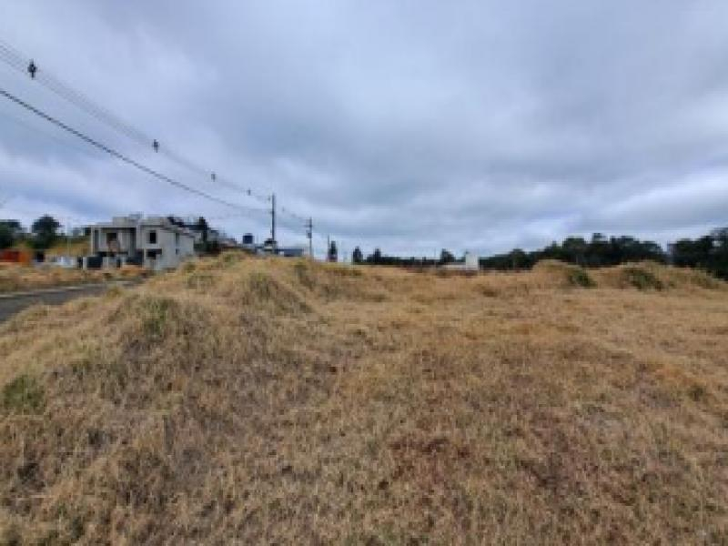 Lote, 377.4 m2, Chapecó / SC