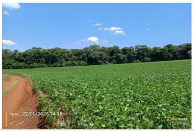 TERRENO RURAL com área total de 9,480 ha - Redentora - RS