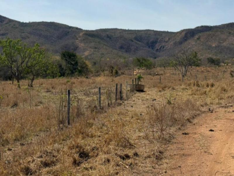 Fazenda, 90.36 ha, Buritis / MG