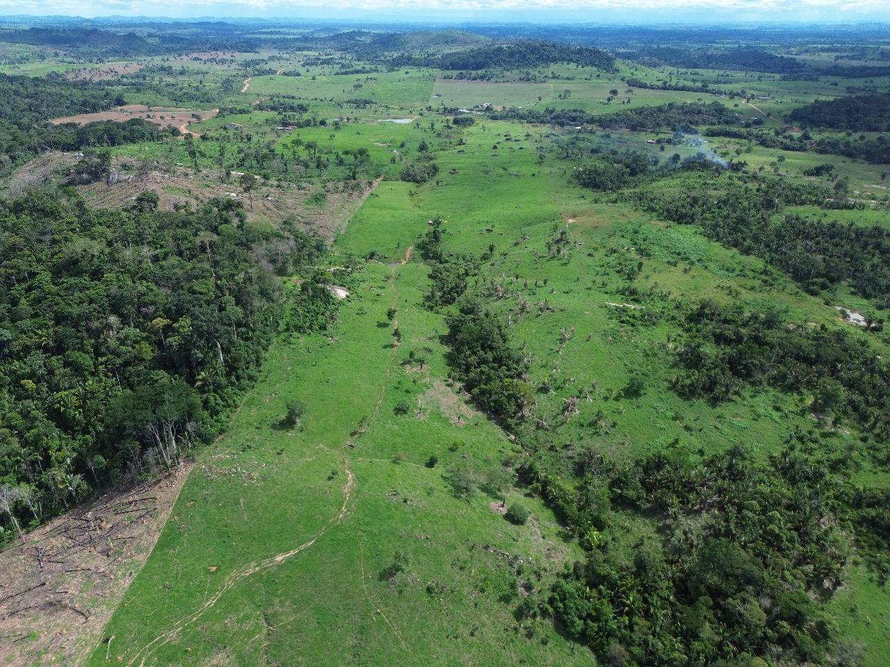 Imóvel Rural | A.T. 50,2763ha | Gleba Rio Alto | Buritis/RO