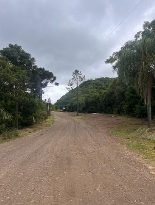 PARTE IDEAL (70%) PERTECENTE A MASSA FALIDA GEO FOREST, área de terras com 338.000m², Vacaria/RS