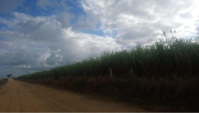 Imóvel rural, A.T. 484.000m²