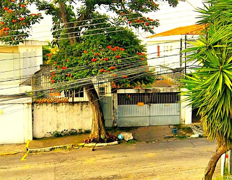 Prédio residencial 359m² | parque jabaquara/sp | terreno de 275m²: oportunidade próxima ao aeroporto de congonhas e av. washington luís!