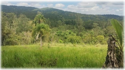Lote com 3 glebas de terras - total 48.000m²