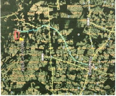 Imóvel Rural, A.T. 2.426,3516 ha, Alta Floresta/MT