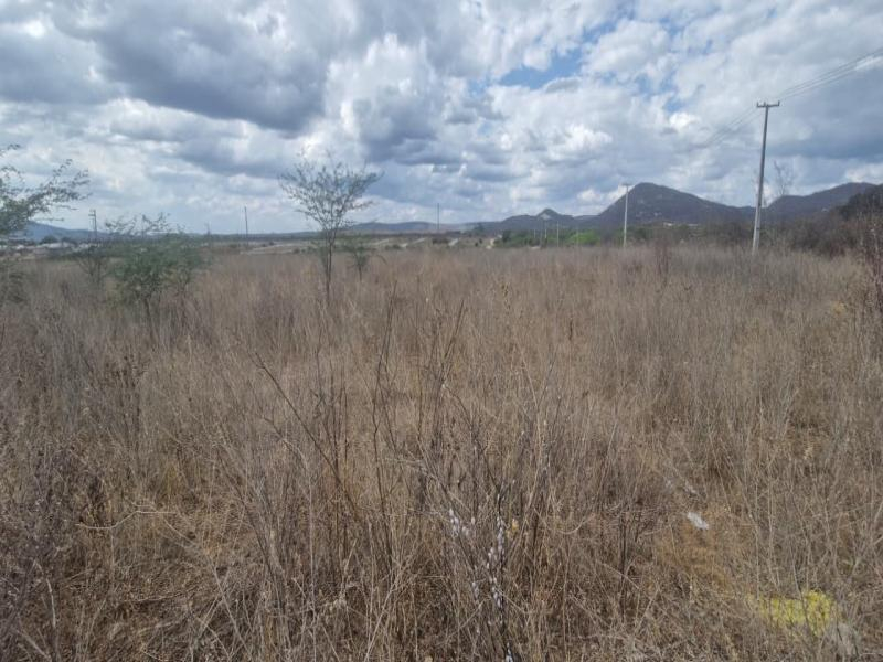 Lote, 152.2 m2, Arcoverde / PE