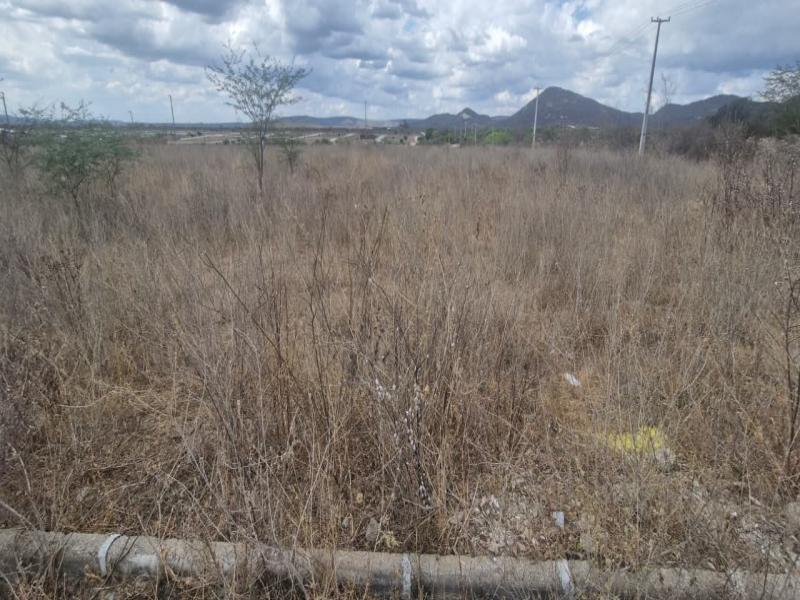 Lote, 158.8 m2, Arcoverde / PE