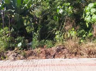 Lote de terras n° 16, com a área de 790,94m², Dois Vizinhos-PR