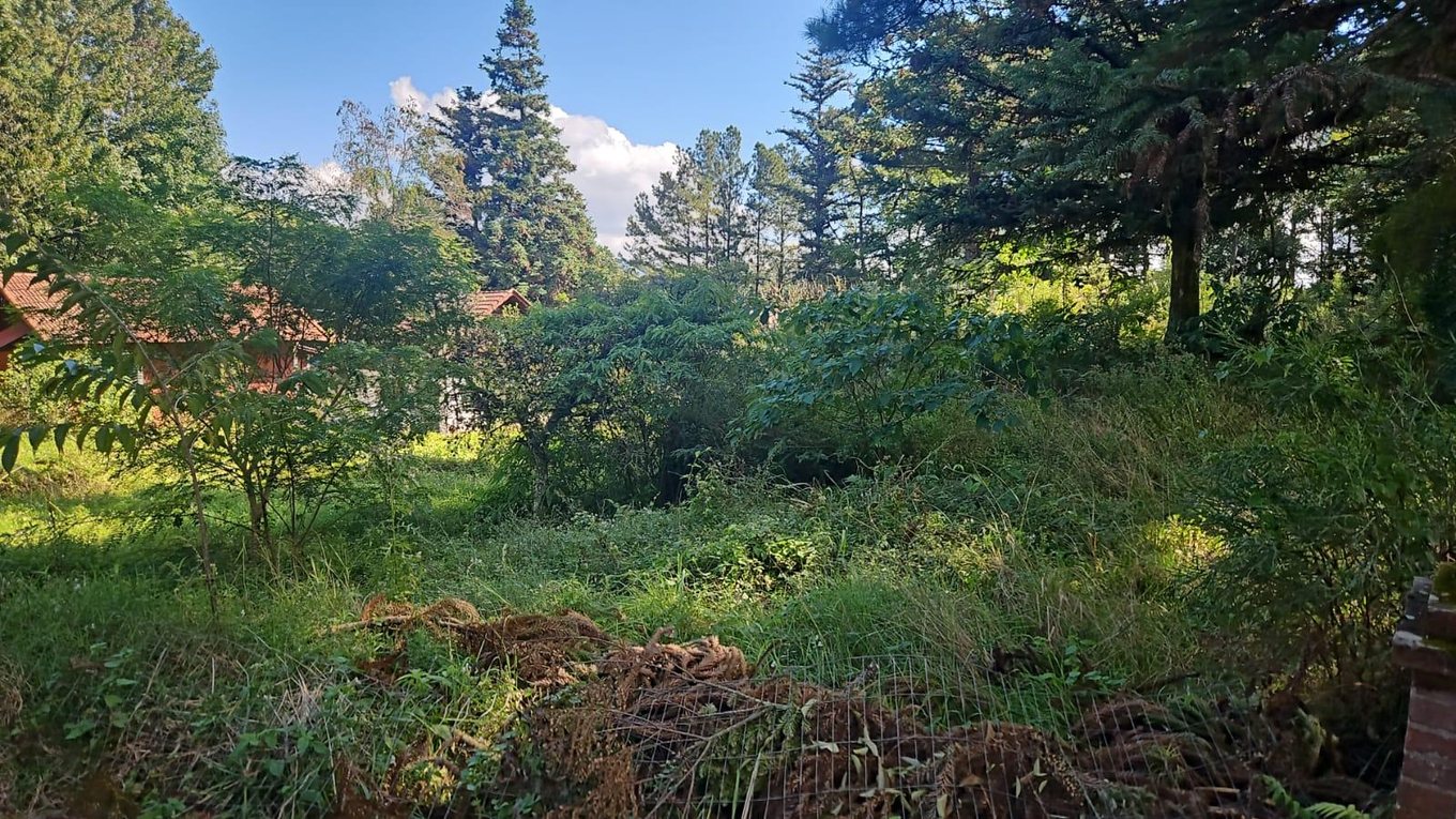 Imóvel com 2.484,00m² em Nova Petrópolis