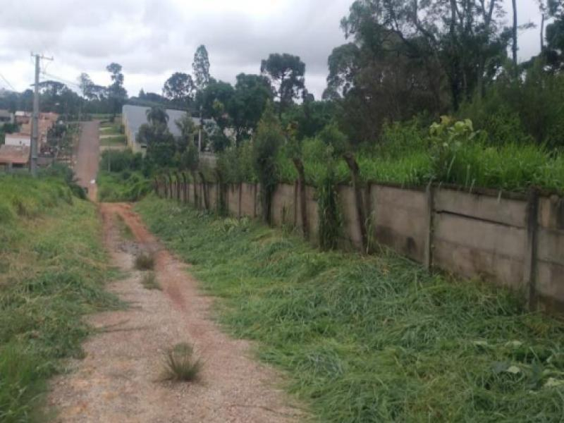 Lote, 12258.57 m2, Ponta Grossa / PR