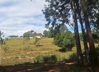 Imóvel rural com benfeitorias - área total de 59.213,18m² - Ribeirão Claro/PR