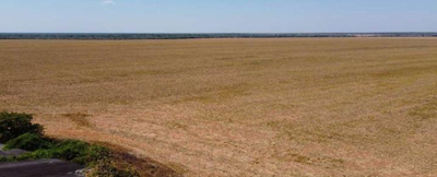 Fazenda Esmeralda 1.020,32 hectares em MT 50% de desconto
