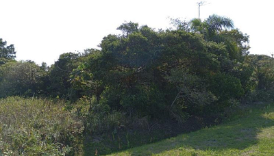 Lote 250m² na Ilha Comprida/SP