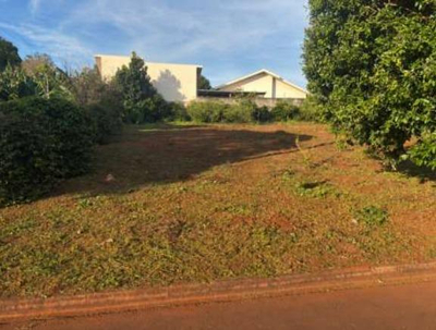 IMÓVEL URBANO COM ÁREA TOTAL DE 525,00m2 - PALOTINA-PR