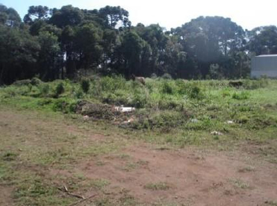 Terreno com benfeitorias - área 18.138,70m² - Balsa Nova/PR