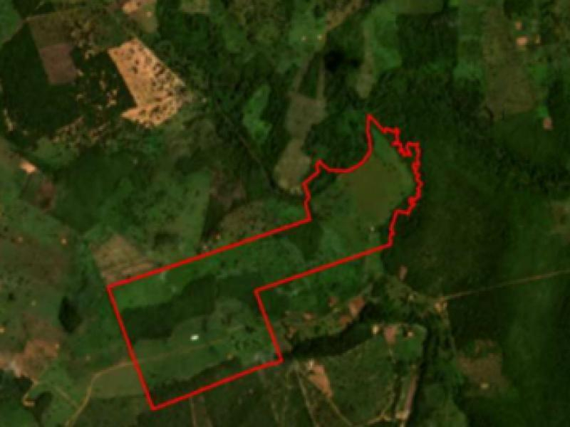 Area, 84.55 ha, Estreito / MA