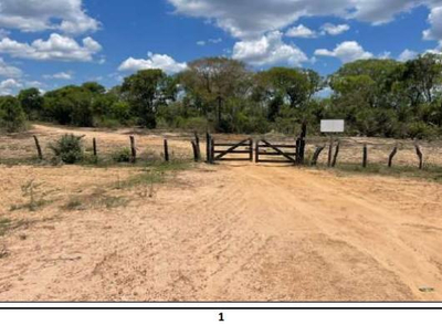 Imóvel rural denominado Fazenda Baia São Benedito (antiga Baia das Pombas- com área de 13.000,00 hectares.