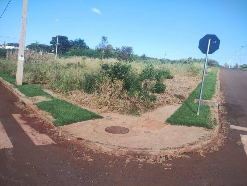 Terreno 352m² | DESOCUPADO | Cafelândia-PR | Centro - Amplo Lote de 352m², Jardim Ravena, Pronto para Construir - Somente à Vista!