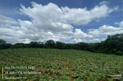 Imóvel Rural 3,57 HA
