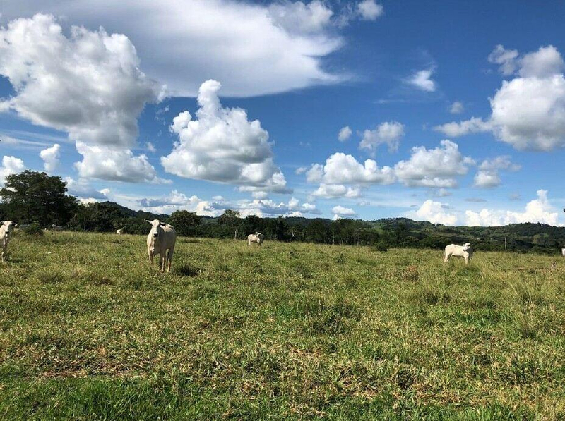 Imóvel Rural | Gleba 34 | 45,7370ha - Colorado do Oeste/RO