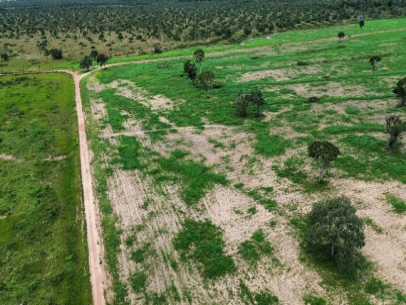 Fazenda, 1242.68 ha, São Félix do Araguaia / MT
