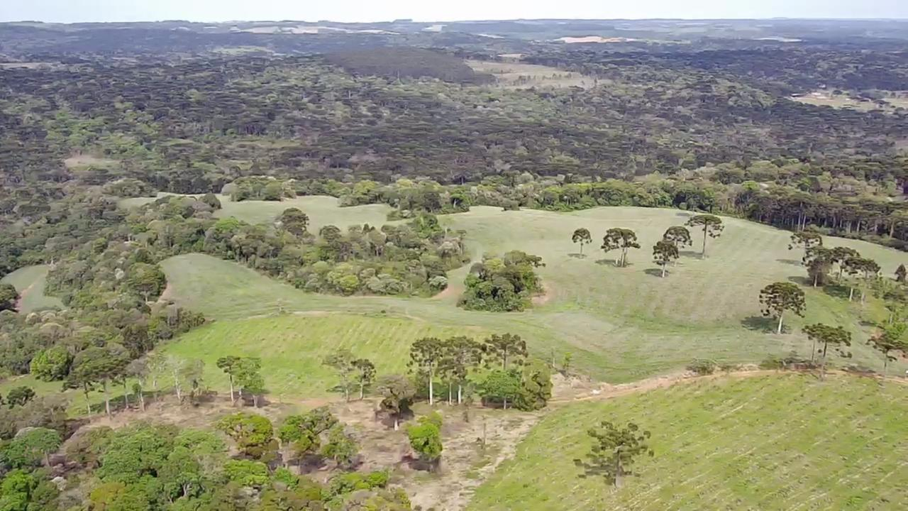 Fazenda Marrecas | 54,23 Hectares | Guairacá | Guarapuava/PR