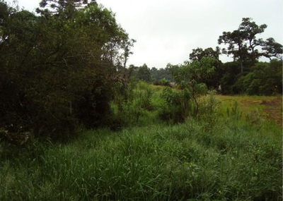 Imóvel localizado no Município de Ortigueira - Paraná