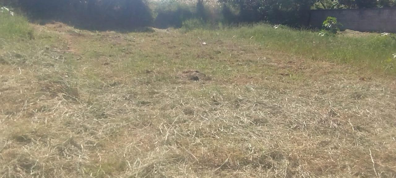 Imóvel Urbano com Área Total de 315,25m2 em Mariluz-PR