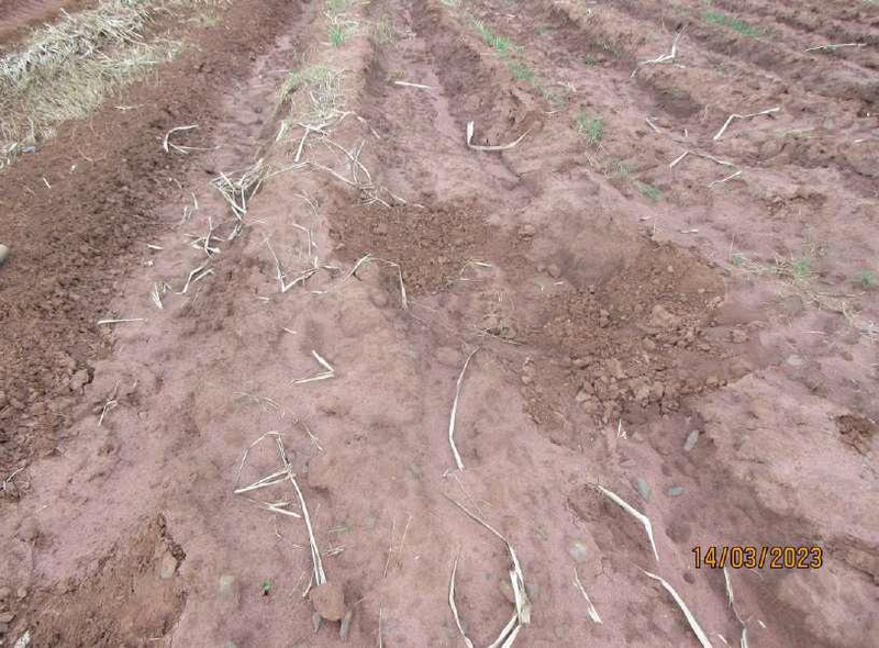 Imóvel rural, a.t. 19,36ha, sítio são josé, lagoa branca
