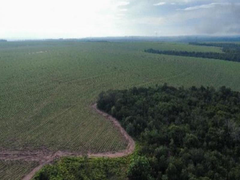 Fazenda, 100.73 ha, Mineiros / GO