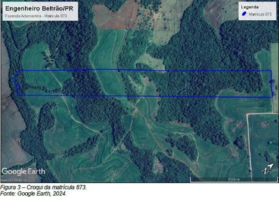 Fazenda Adamantina: 10 alqueires em Engenheiro Beltrão/PR