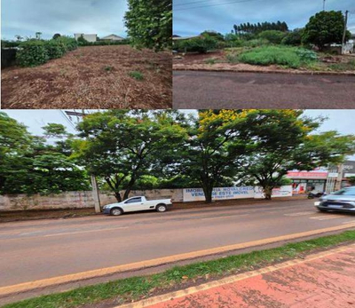 TERRENOS URBANOS - MATRÍCULAS EM CONJUNTO  ÁREA TOTAL DE 3.078,83 m²  PALOTINA/PR