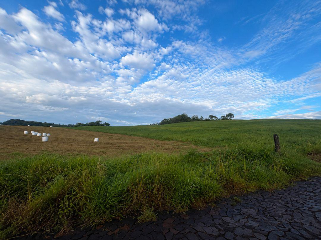Área Rural com 10,15 Hectares em Enéas Marques/Pr Região Agrícola