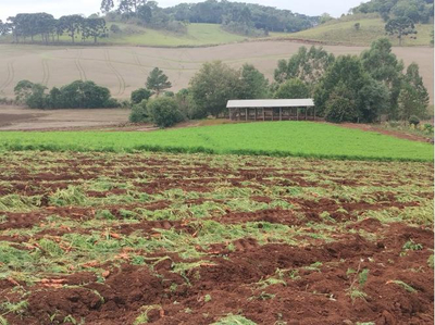 Imóvel Rural com Área Total de 5,3285450 Ha - Frei Rogério/SC