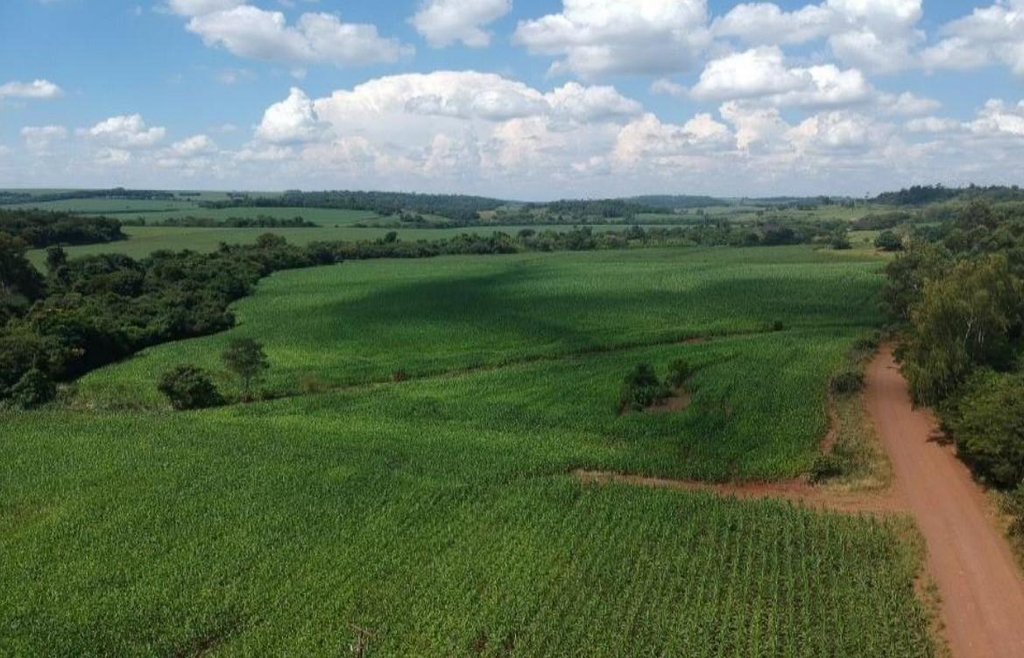 IMÓVEL RURAL COM ÁREA DE 70.050 m2-  Em MERCEDES/PR